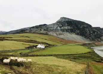 Climate Change Impacts on Natural Capital