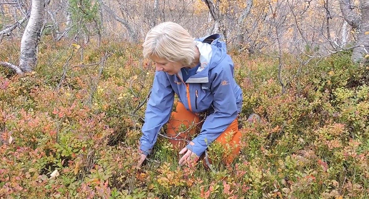 RestorYation Cairngorms: Enabling inclusivity in biodiversity narratives