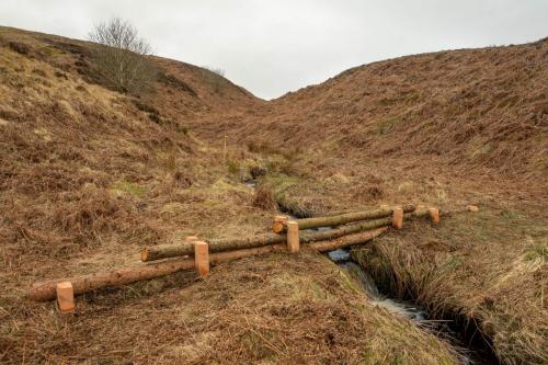 Achieving multi-purpose nature-based solutions