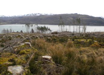 Bringing in participatory approaches to widen the scope of natural capital valuation