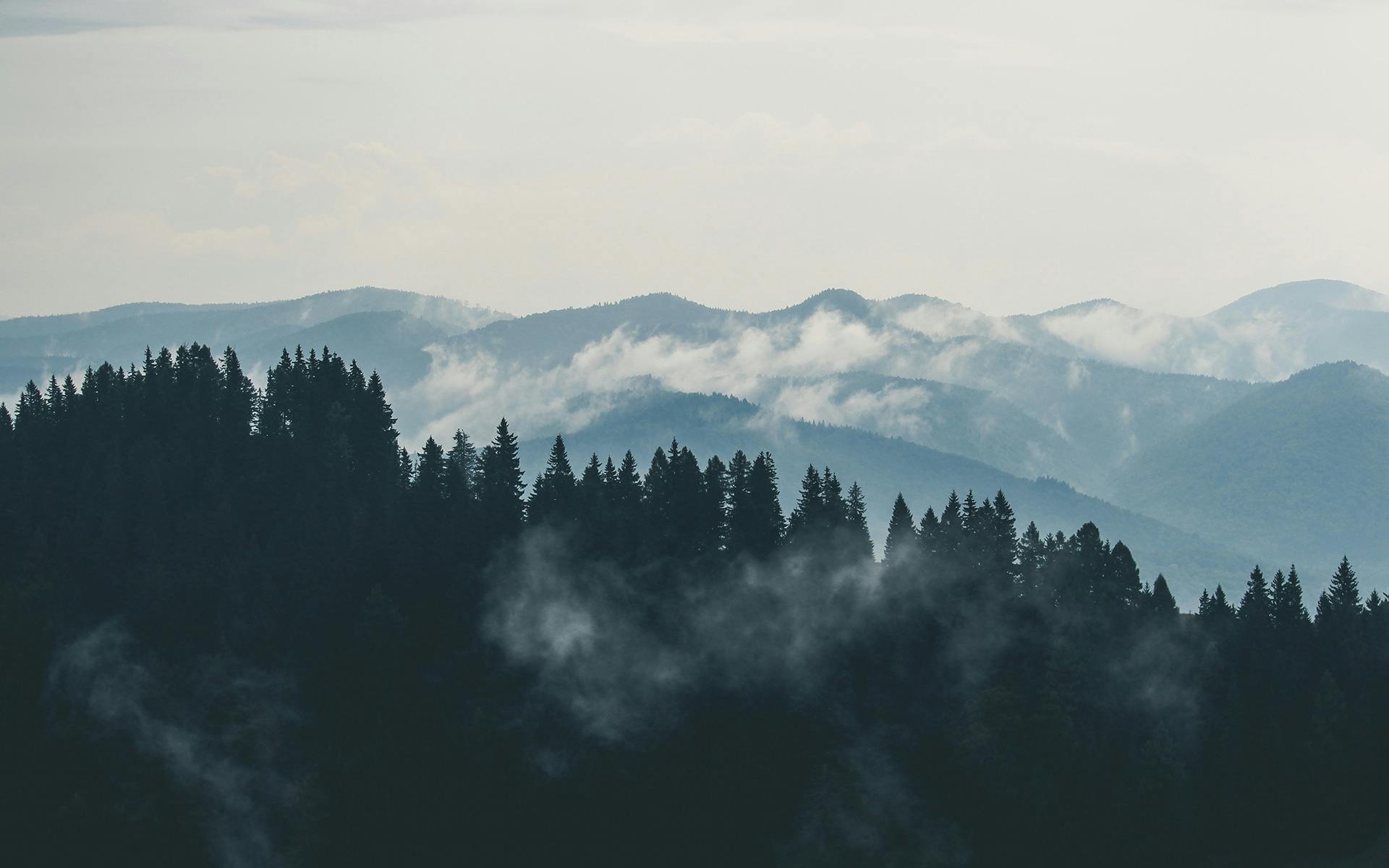 MOVING – MOuntain Valorisation through INterconnectedness and Green growth