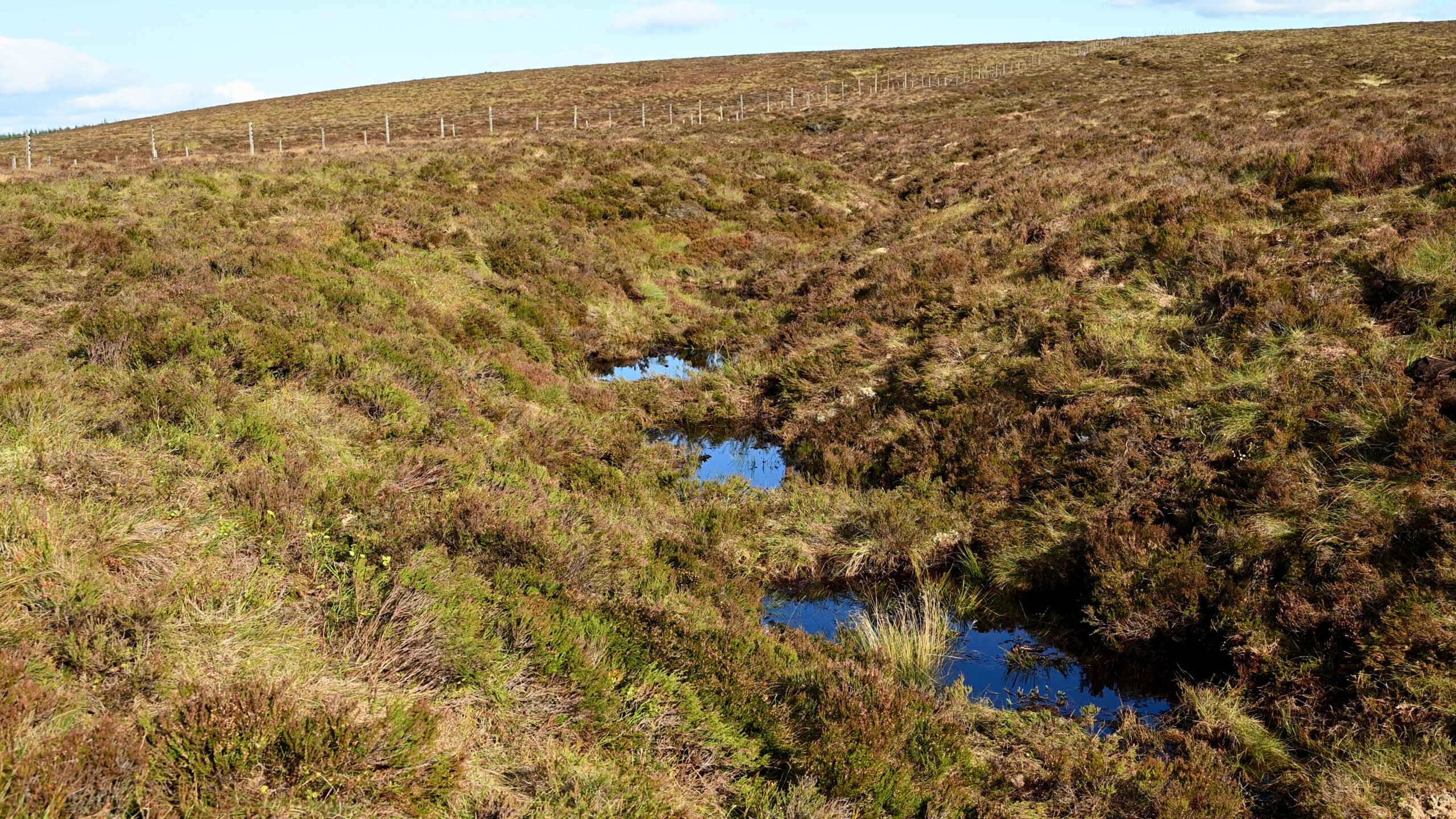 Does habitat restoration mitigate the impacts of nitrogen deposition?