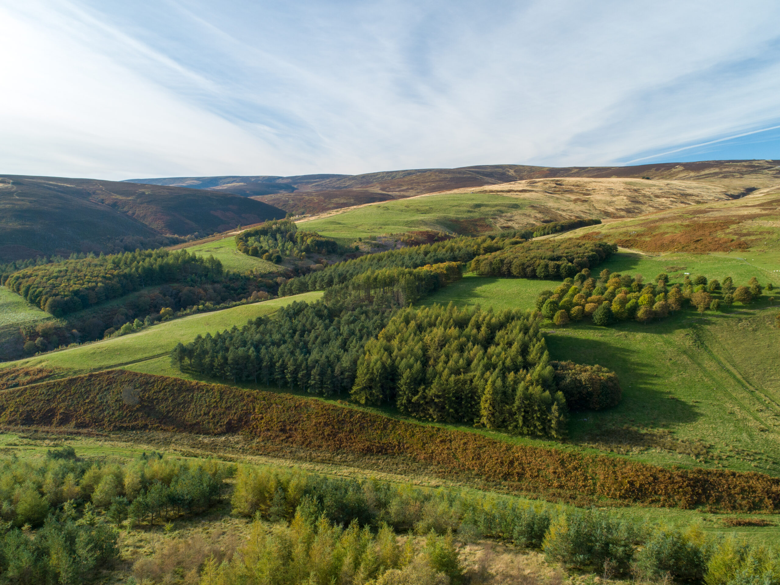 Agroforestry at Glensaugh