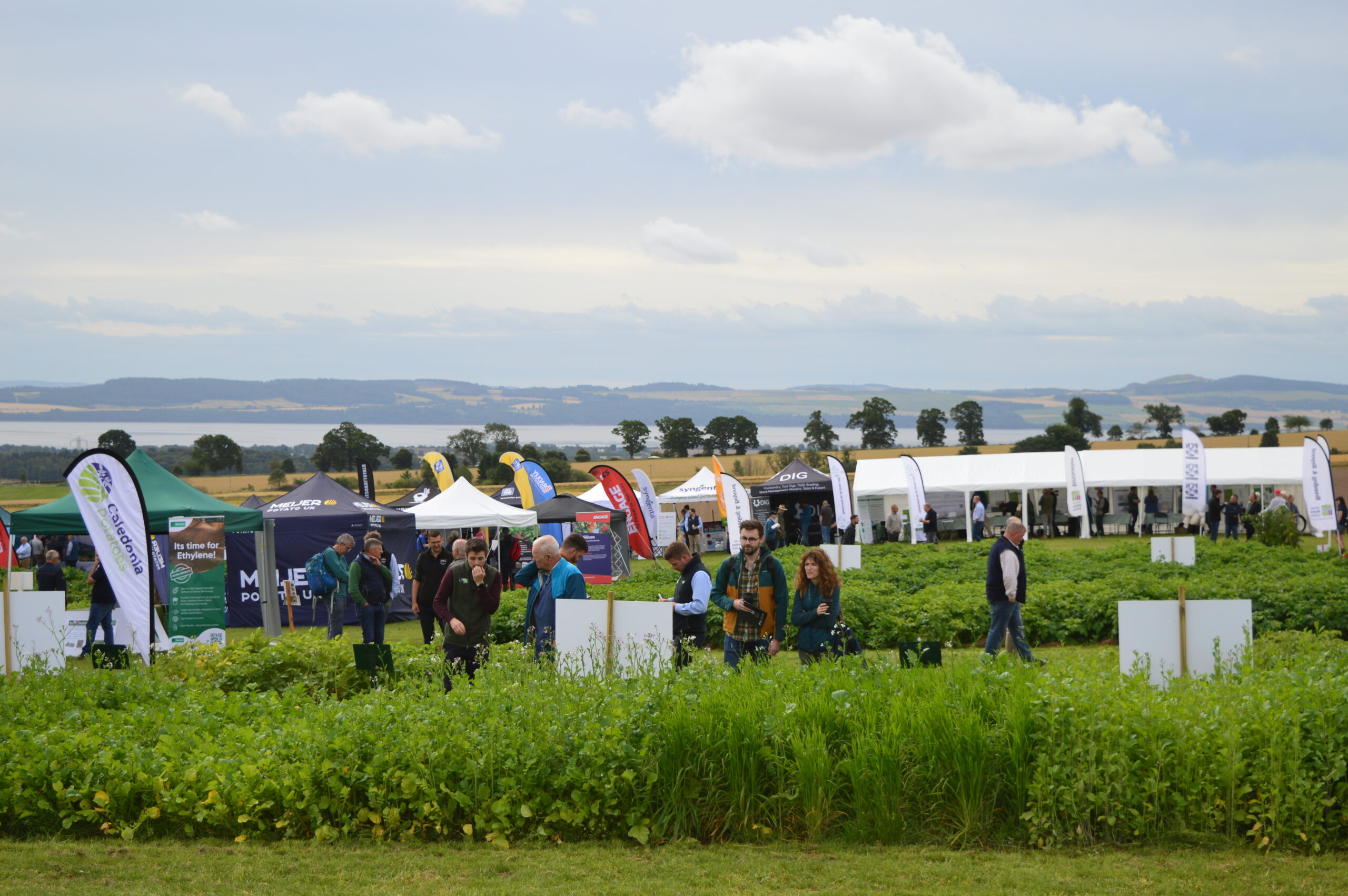 Date for the diary: Potatoes in Practice 2025