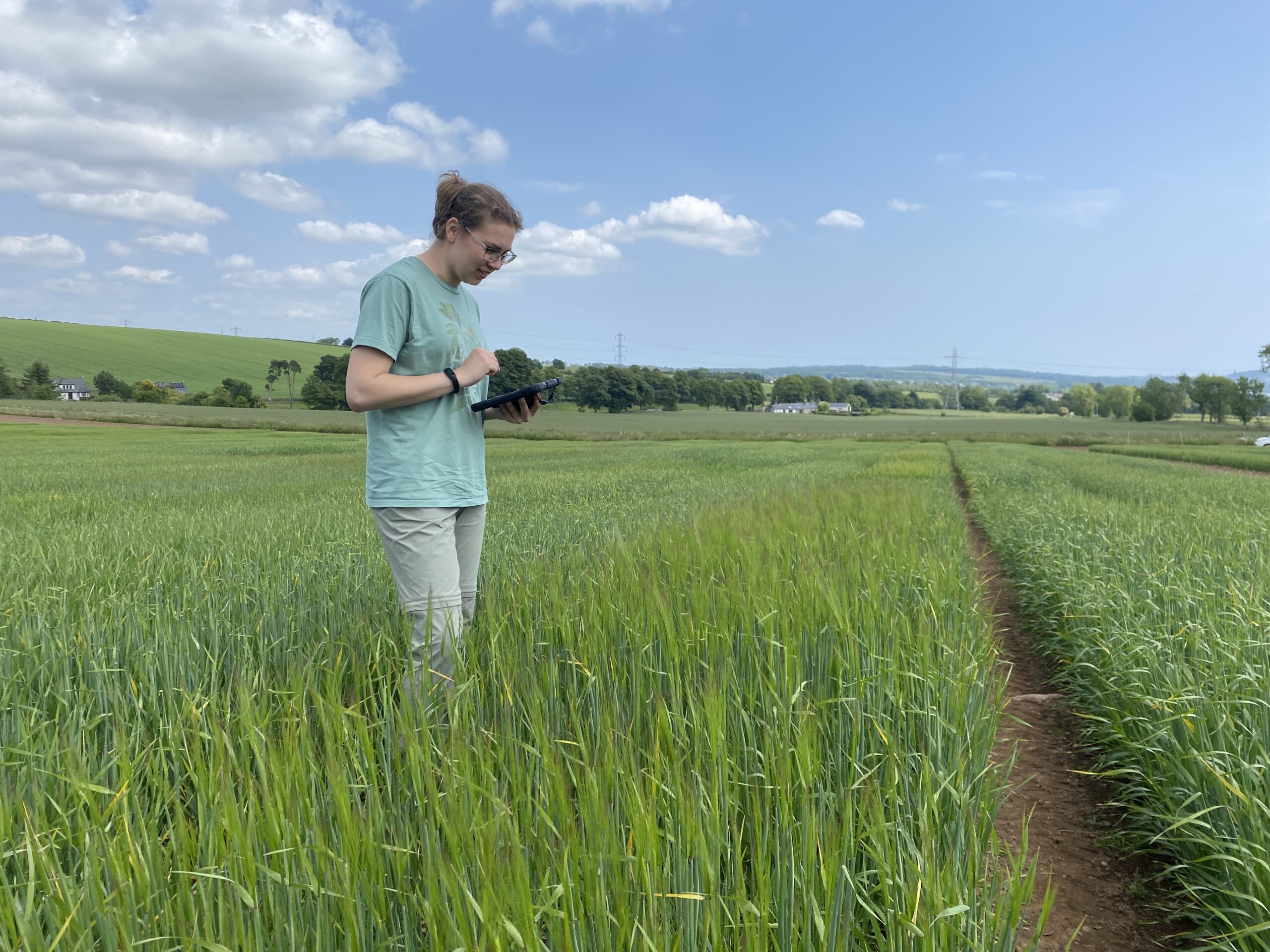 How the environment and genetics shape the quality of Scottish whisky