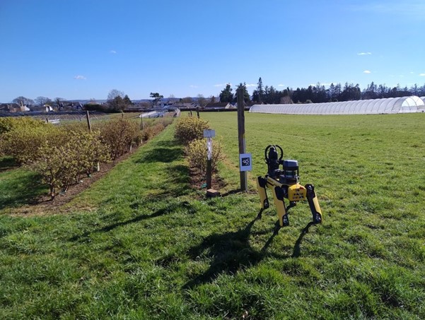 Collaborative robotics test-bed at The James Hutton Institute shortlisted for industry prize