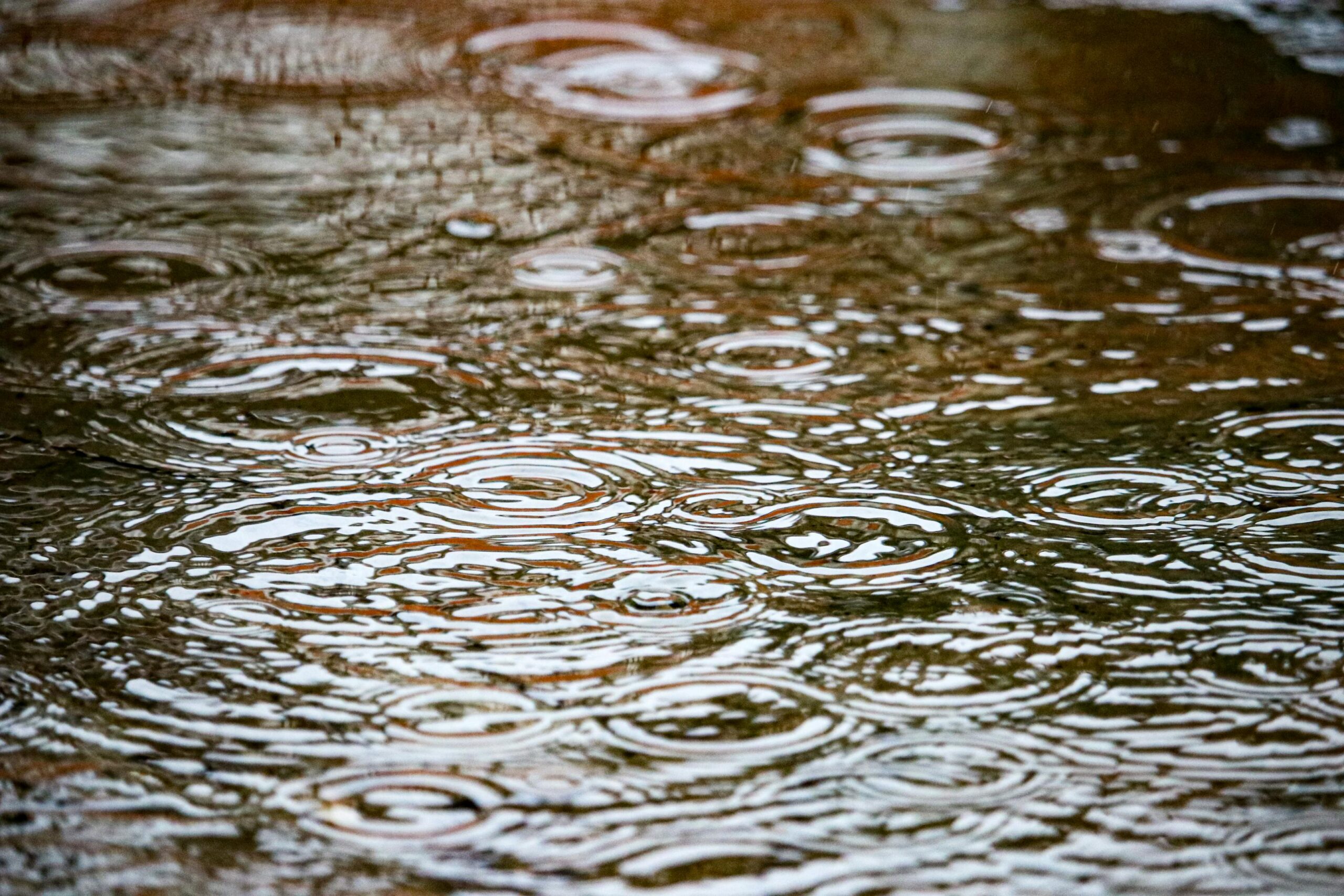 Winter 2025 – 2026, a season dominated by steady, persistent rainfall
